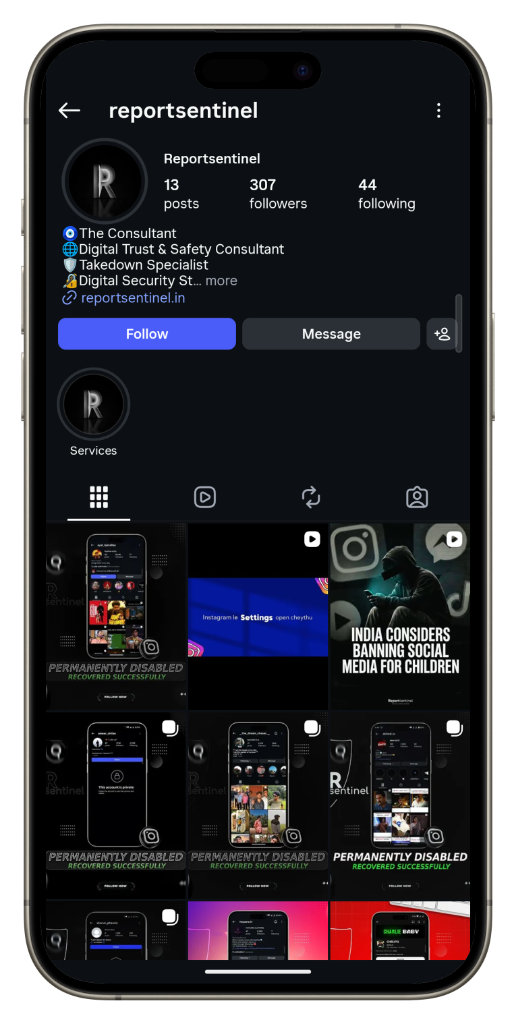 Report Sentinel Instagram Mockup