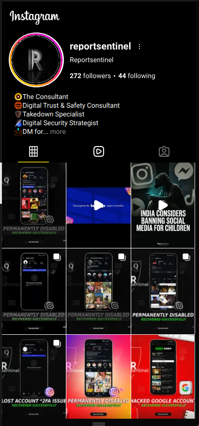 Report Sentinel Instagram Mockup